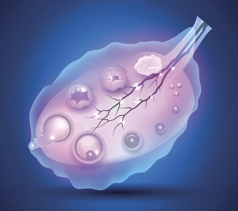 上海第三代试管婴儿花销全解析：详细价格一览，轻松做好预算准备